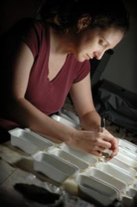 Dumas labels a sherd of pottery. Dumas received National Science Foundation funding for her dissertation research. (Photo by Laura Shill) 