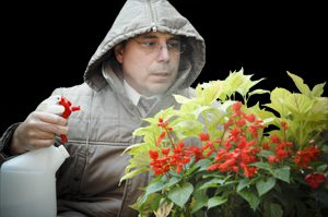 Parkas and warm-weather plants almost seem to go together thanks to a cold tolerance spray co-developed by Francko. (Laura Shill) 