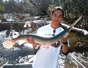 Daniel McGarvey holds a longnose gar (Lepisosteus osseus) near a Fayette County section of the Sipsey River. McGarvey is scheduled for recognition Monday in Washington D.C. for a fellowship he won supporting his research related to river management and restoration.