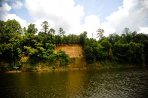 De Soto's army departed a town located "high on a craggy bluff," perhaps like this bluff along the Alabama River, two days before the historically famous battle. (Laura Shill) 