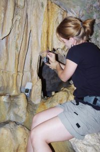 Hillary Sletten sampling dripwater at Avaiki Cave, Niue for chemical analysis. (Photo by Joe Lambert) 