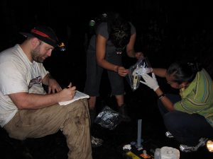 Dr. Joe Lambert, Adorra Misikea, and Mellisa Douglas measuring the pH of the dripwater at Ulupaka Cave. (Photo by Hillary Sletten) 