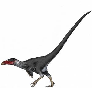 The Alabama dromaeosaurid (Asher Elbein) 