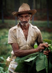 "Tobacco Farmer," a photograph by Julio Larramendi, is featured in the show headed to Rome. 