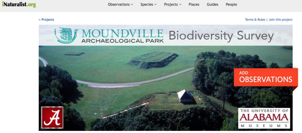 Moundville