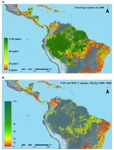 Age and carbon sequestration maps of lowland neotropical forests in Latin America. 