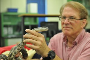 A scientist holds a rat snake.