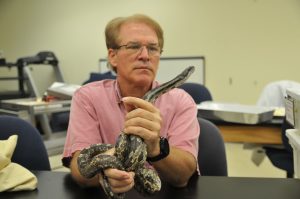 A scientist holds a rat snake