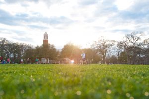 The sun shines on grass on UA's campus. 