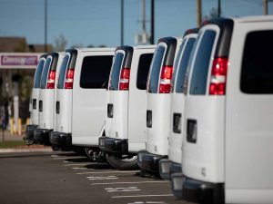 row of white vans