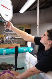 A woman underwater is weighed while a lab researcher examines measuring equipment above the water.