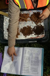 Collected piles of dirt on an pan sit while a hand points to scientific information in a notebook.