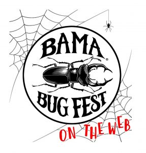 The 2020 Bama Bug Fest logo with an insect in a web.