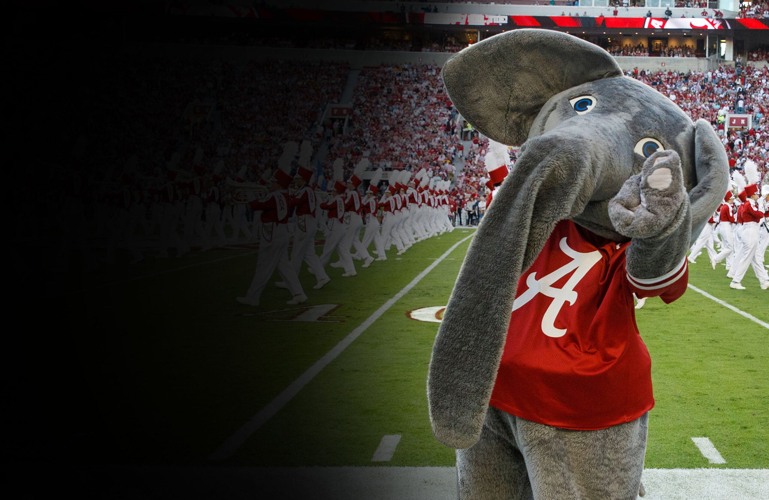 Big Al on Saban Field and Bryant Denny Stadium